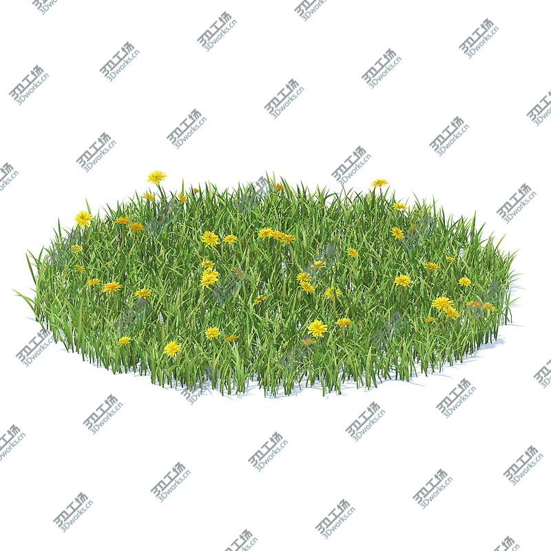 images/goods_img/202105071/3D Wild Plants 3D Models Collection FBX OBJ model/4.jpg